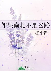 《如果南北不是岔路》