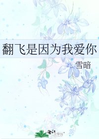 《翻飞是因为我爱你》
