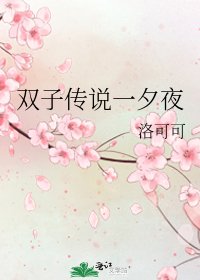 《双子传说一夕夜》