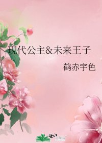 现代公主&未来王子