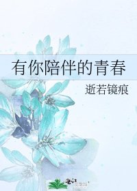 《有你陪伴的青春》