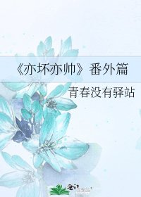 《亦坏亦帅》