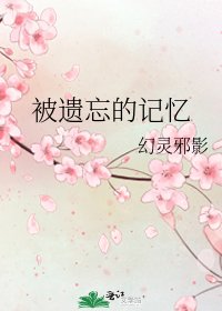 《被遗忘的记忆》