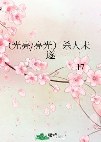 《(光亮/亮光)杀人未遂》