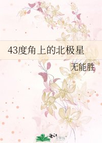 《43度角上的北极星》
