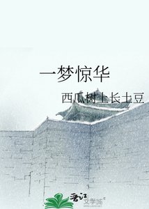 《一梦惊华》