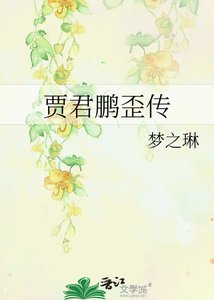 《贾君鹏歪传》