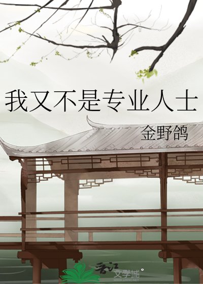 《我又不是专业人士》