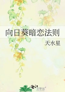 《向日葵暗恋法则》