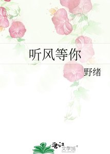 《听风等你》