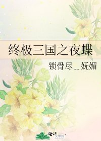 《终极三国之夜蝶》