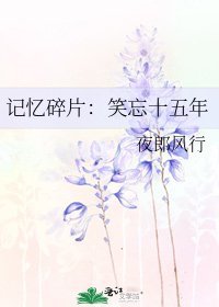《记忆碎片:笑忘十五年》