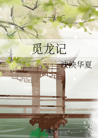 觅龙记