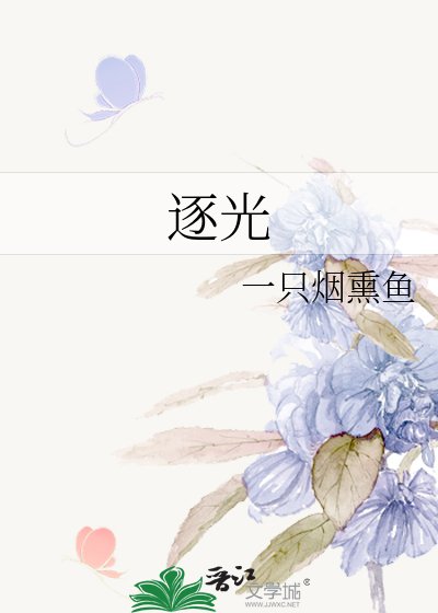 《逐光》