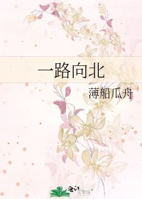 《一路向北》