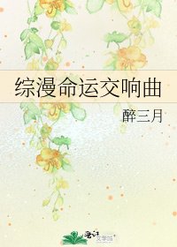 《综漫命运交响曲》