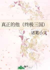 《真正的他(终极三国)》