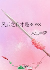 《风云之我才是BOSS》
