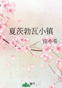 《夏茨勃瓦小镇》