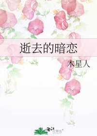 《逝去的暗恋》