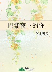 《巴黎夜下的你》