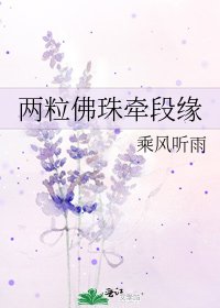 《两粒佛珠牵段缘》