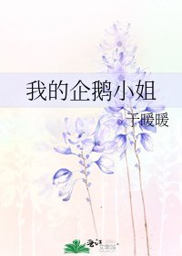 我的企鹅小姐