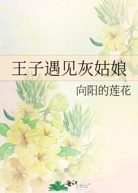 《王子遇见灰姑娘》