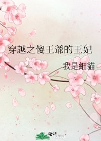 《穿越之傻王爺的王妃》