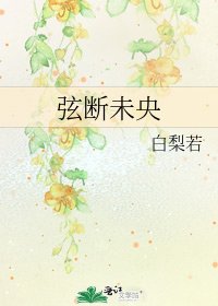 《弦断未央》