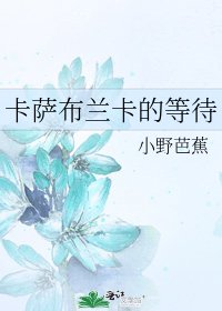 《卡萨布兰卡的等待》