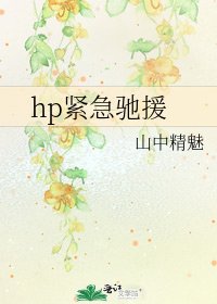 《hp紧急驰援》