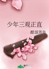 《少年三观正直》