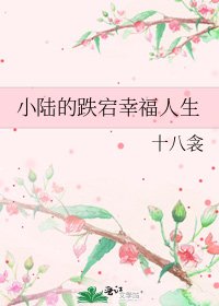 《小陆的跌宕幸福人生》