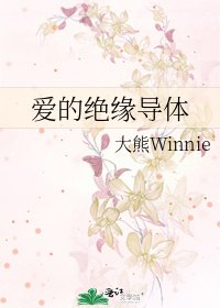 《爱的绝缘导体》