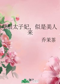《草根太子妃,似是美人来》