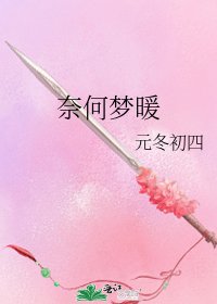 《奈何梦暖》