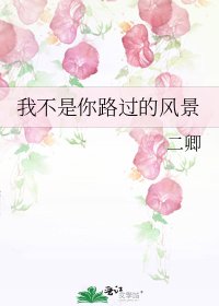 我不是你路过的风景