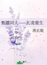 《甄嬛同人——玄岭重生》
