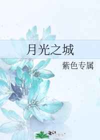月光之城