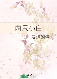 《两只小白》
