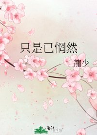 《只是已惘然》