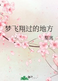 《梦飞翔过的地方》
