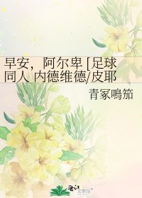 早安，阿尔卑 [足球同人 内德维德/皮耶罗]