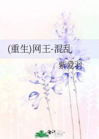 《(重生)网王-混乱》