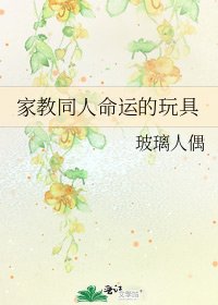 《家教同人命运的玩具》