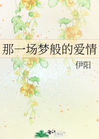 《那一场梦般的爱情》
