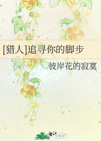 [猎人]追寻你的脚步