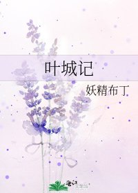 《叶城记》