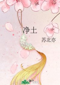 《净土》